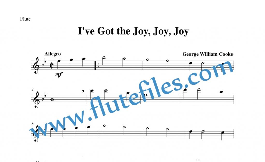 I've Got the Joy, Joy, Joy flute solo sheet music