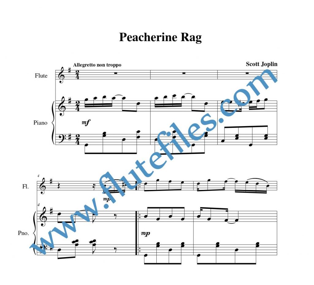 Piano accompaniment part for Peacherine Rag Theme flute solo sheet music by Joplin