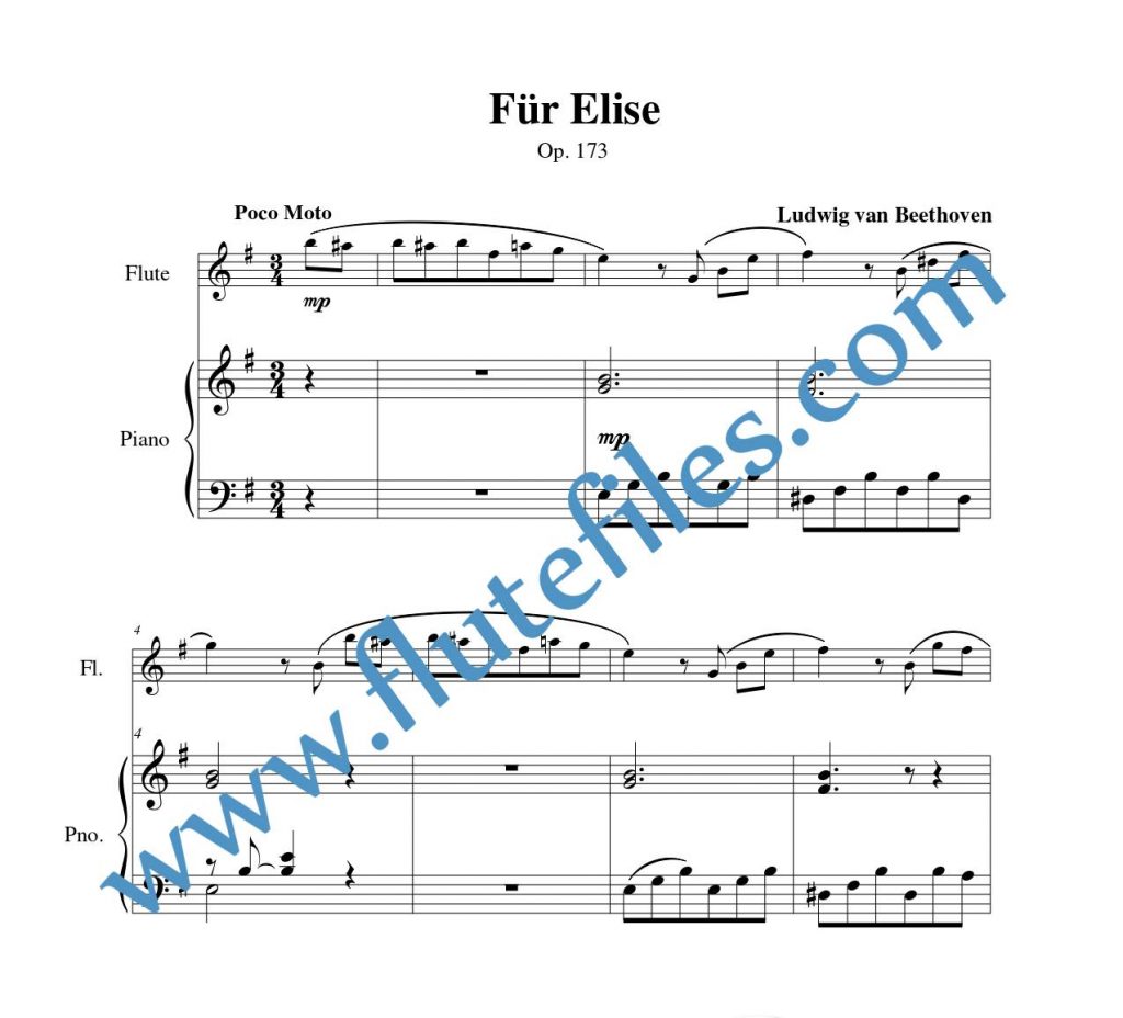 Piano accompaniment part for Für Elise flute solo sheet music by Beethoven