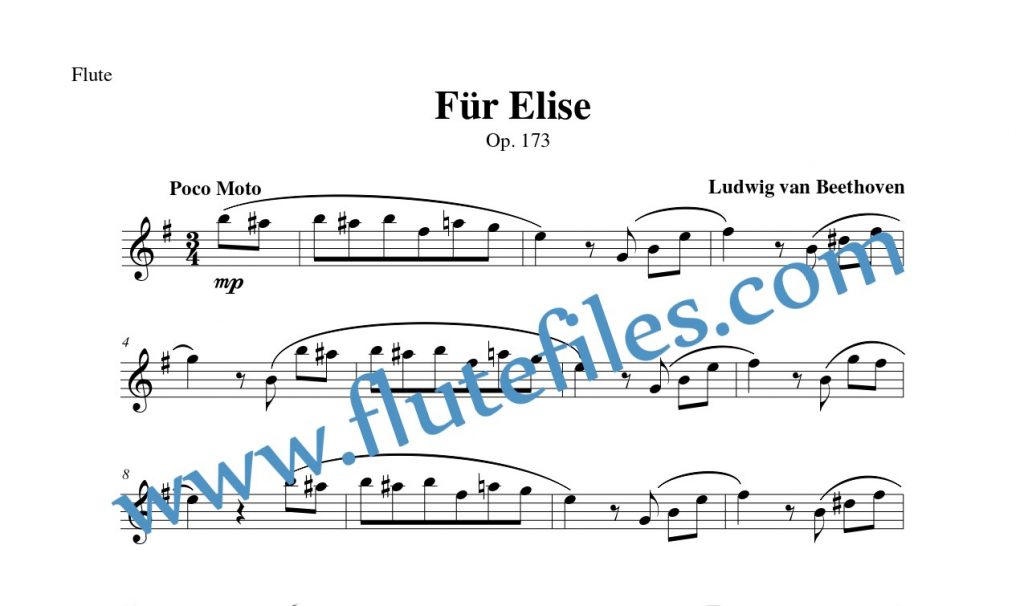 Flute part for Für Elise flute solo sheet music by Beethoven