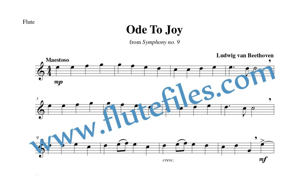 Flute part for Ode To Joy flute solo sheet music by Beethoven