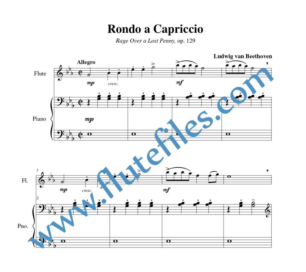 Piano accompaniment part for Rondo a Capriccio flute solo sheet music by Beethoven