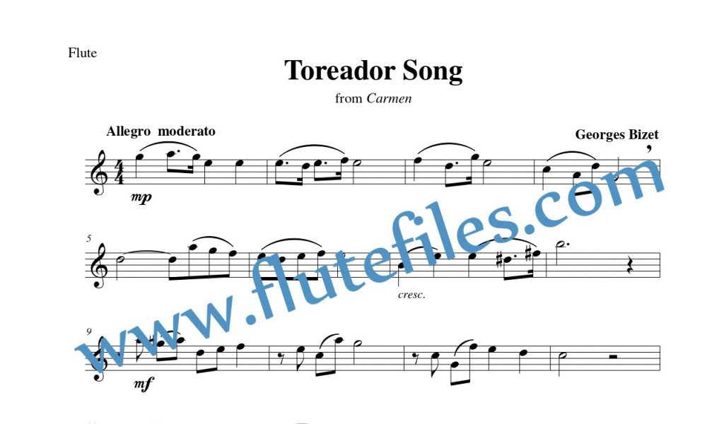 Flute part for Toreador Song flute solo sheet music by Bizet