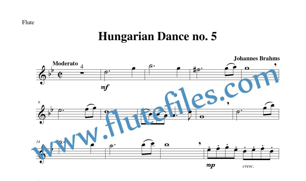 Flute part for Hungarian Dance no. 5 flute solo sheet music by Brahms