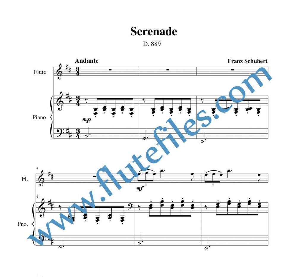 Piano accompaniment part for Serenade flute solo sheet music by Schubert