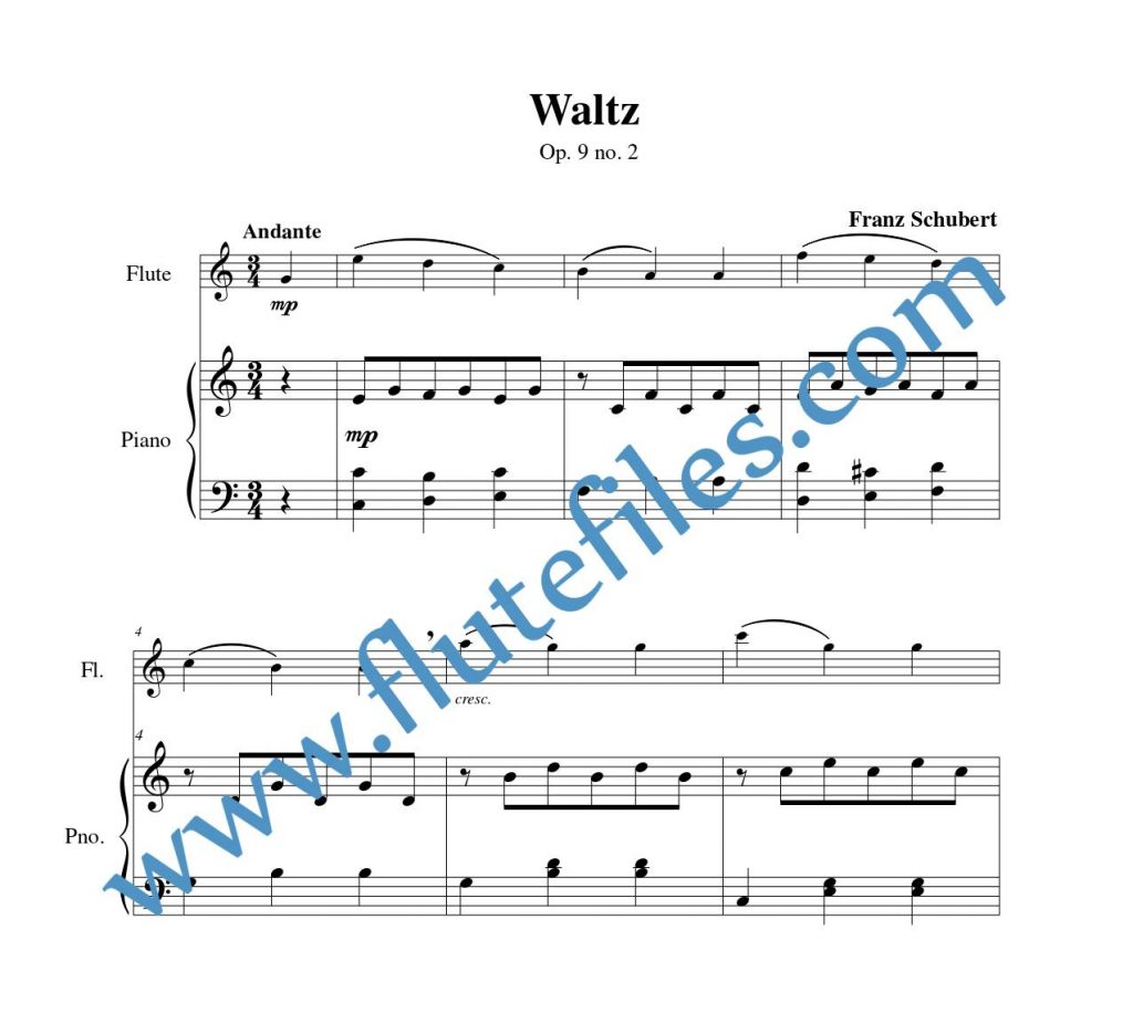 Piano accompaniment part for Waltz, op. 9 no. 2 flute solo sheet music by Schubert