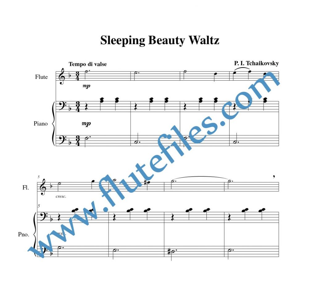 Piano accompaniment part for Sleeping Beauty Waltz flute solo sheet music by Tchaikovsky