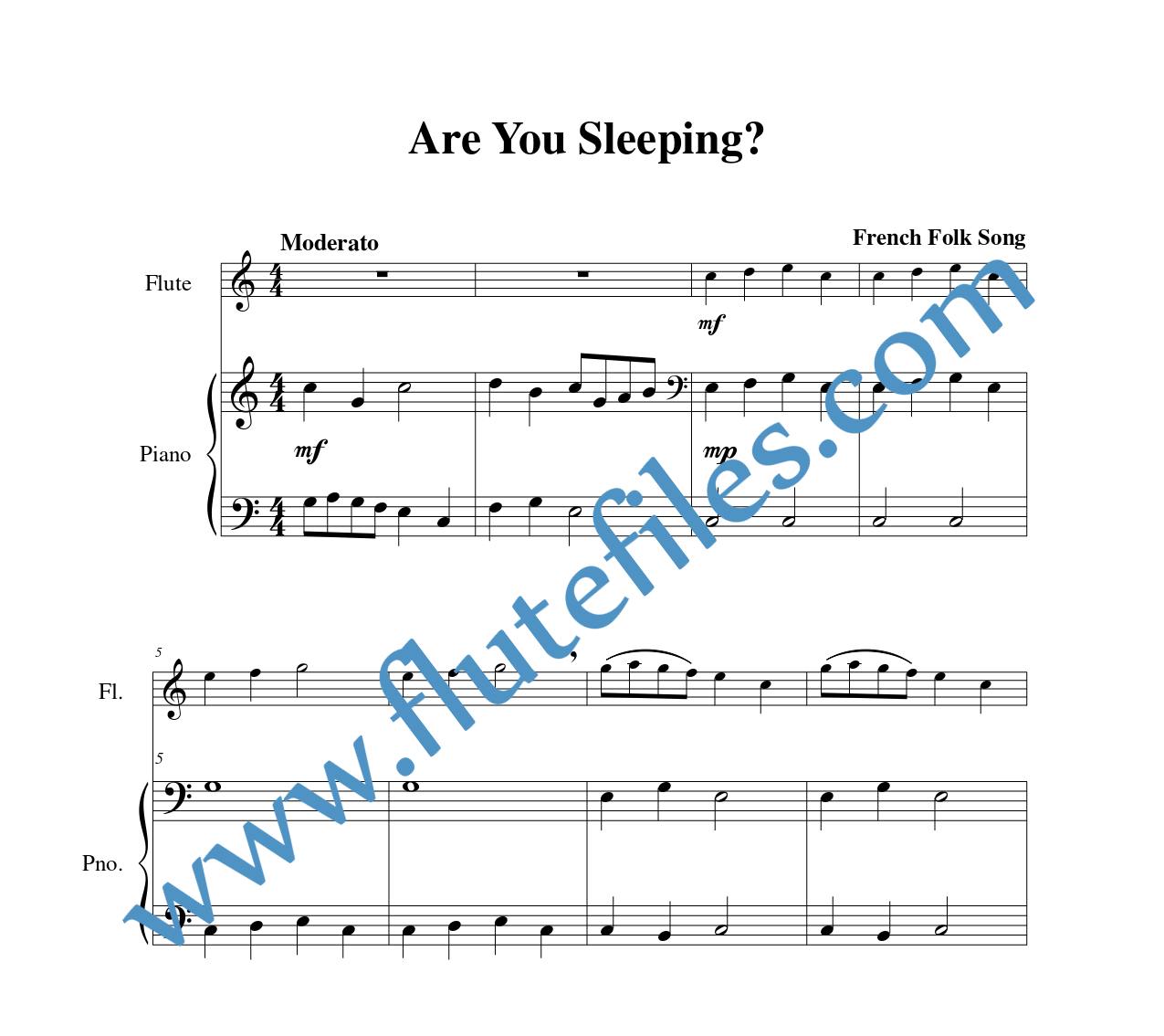 Piano accompaniment for Are You Sleeping flute solo sheet music