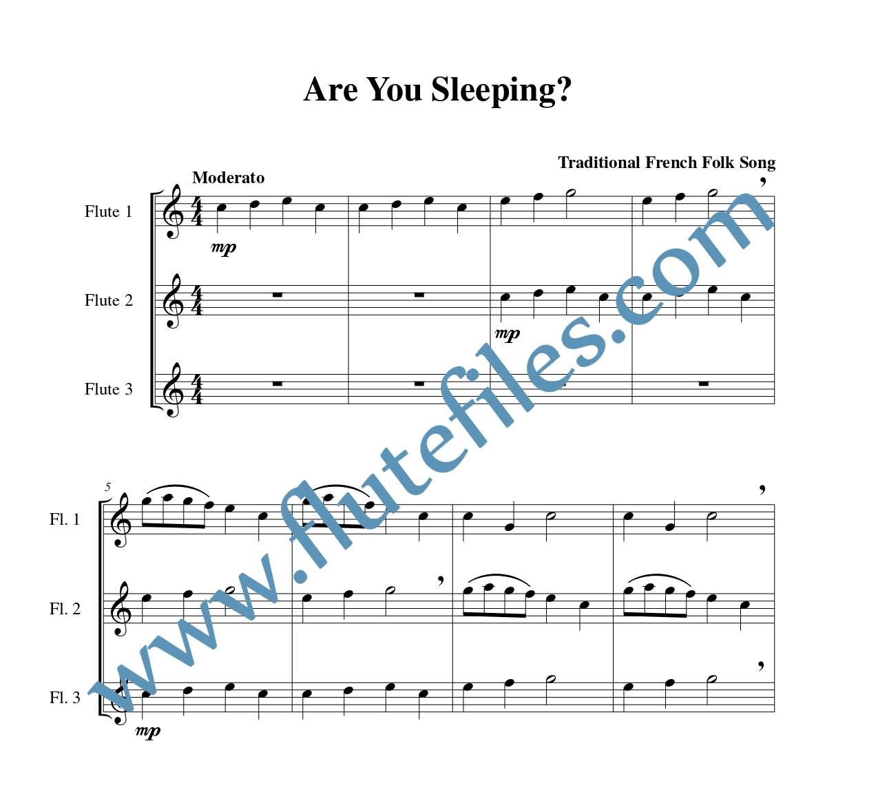 Are You Sleeping flute trio sheet music