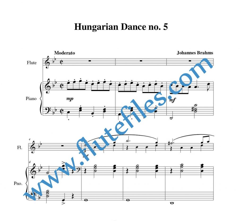 Piano accompaniment part for Hungarian Dance no. 5 flute duet and piano sheet music by Brahms