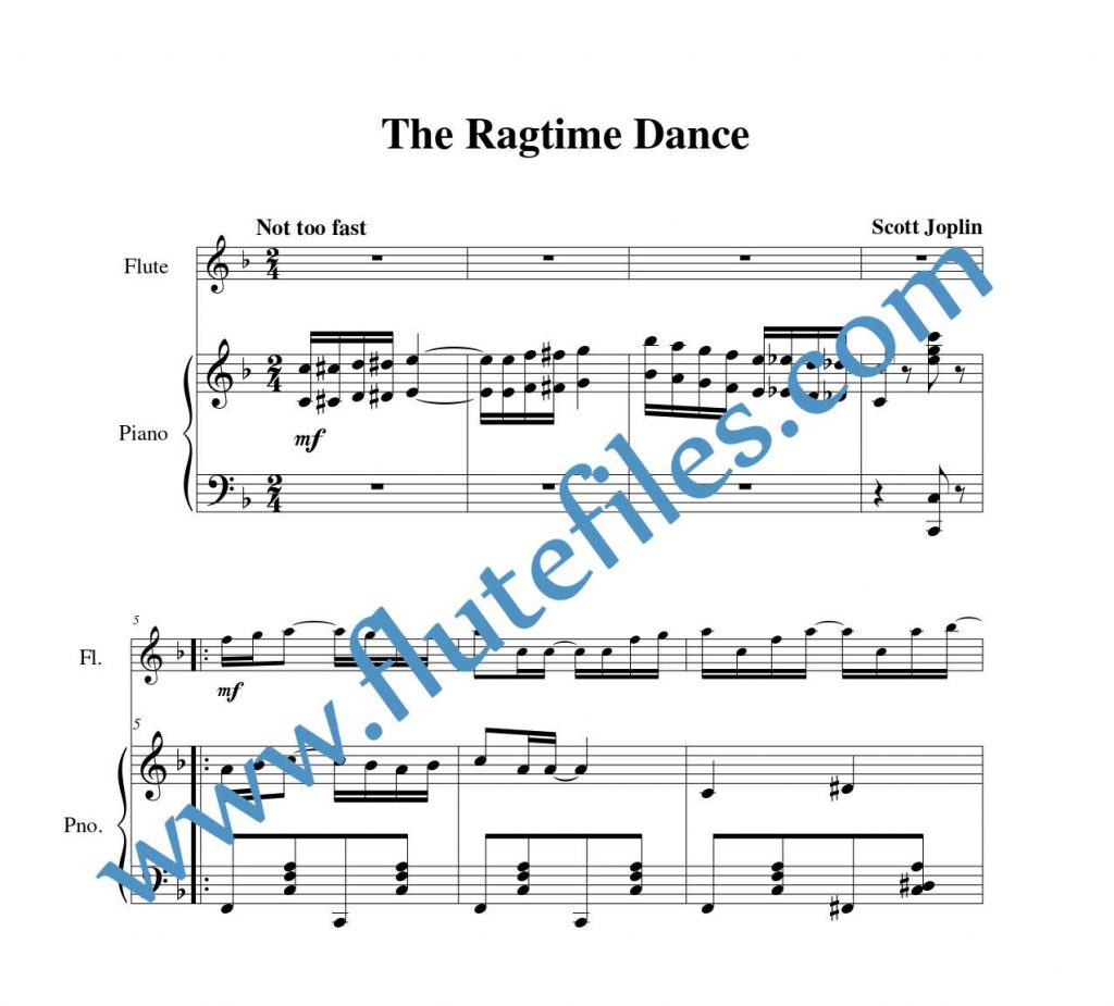 Piano accompaniment part for The Ragtime Dance flute solo sheet music by Joplin