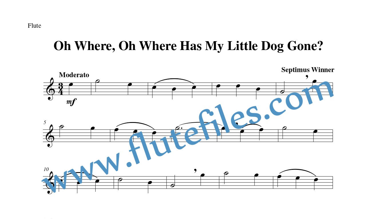 Flute part for Oh Where, Oh Where Has My Little Dog Gone flute solo sheet music