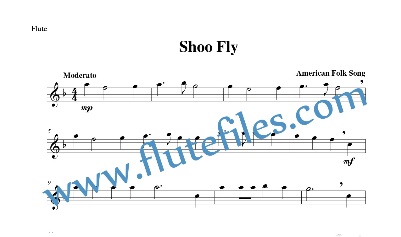 Flute part for Shoo Fly flute solo sheet music