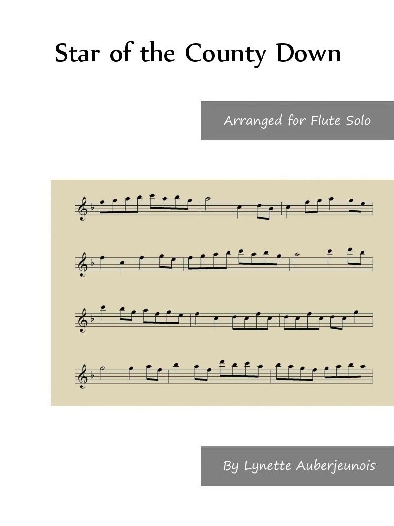 Sheet music cover for Star of the County Down flute solo