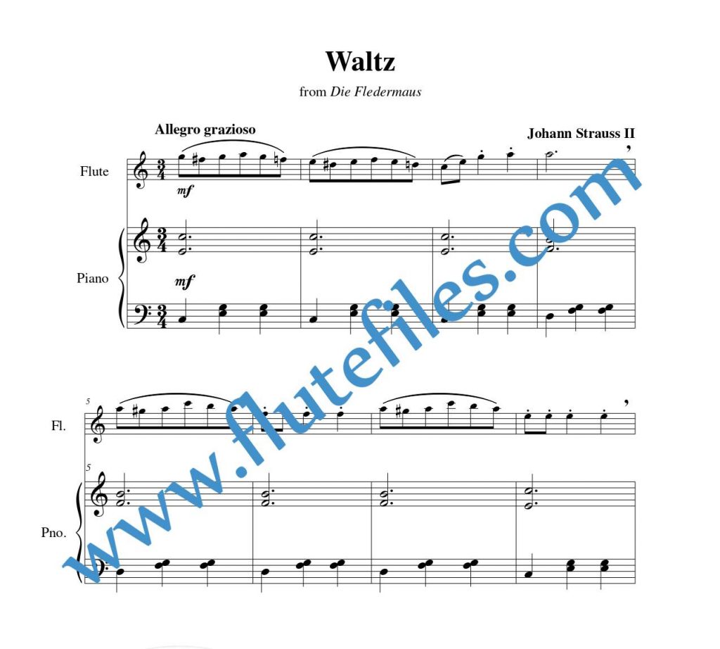 Piano accompaniment part for Waltz from Die Fledermaus flute solo sheet music by Strauss