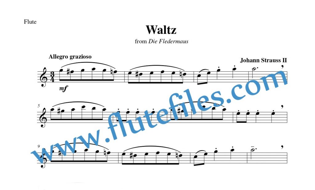 Flute part for Waltz from Die Fledermaus flute solo sheet music by Strauss
