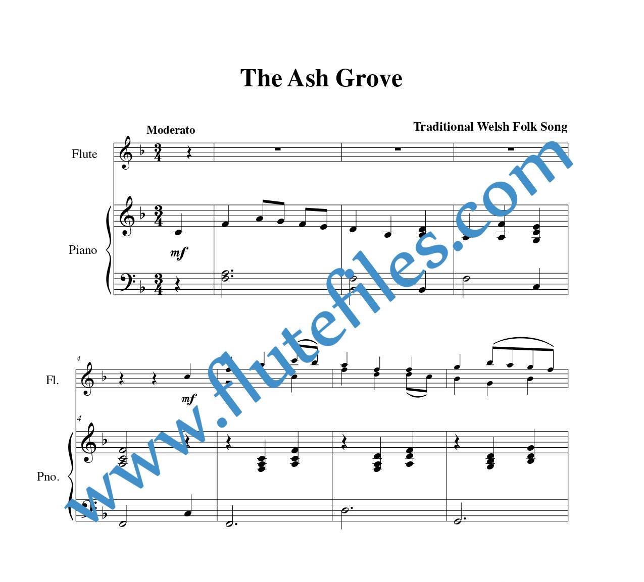 Piano accompaniment part for The Ash Grove flute duet sheet music