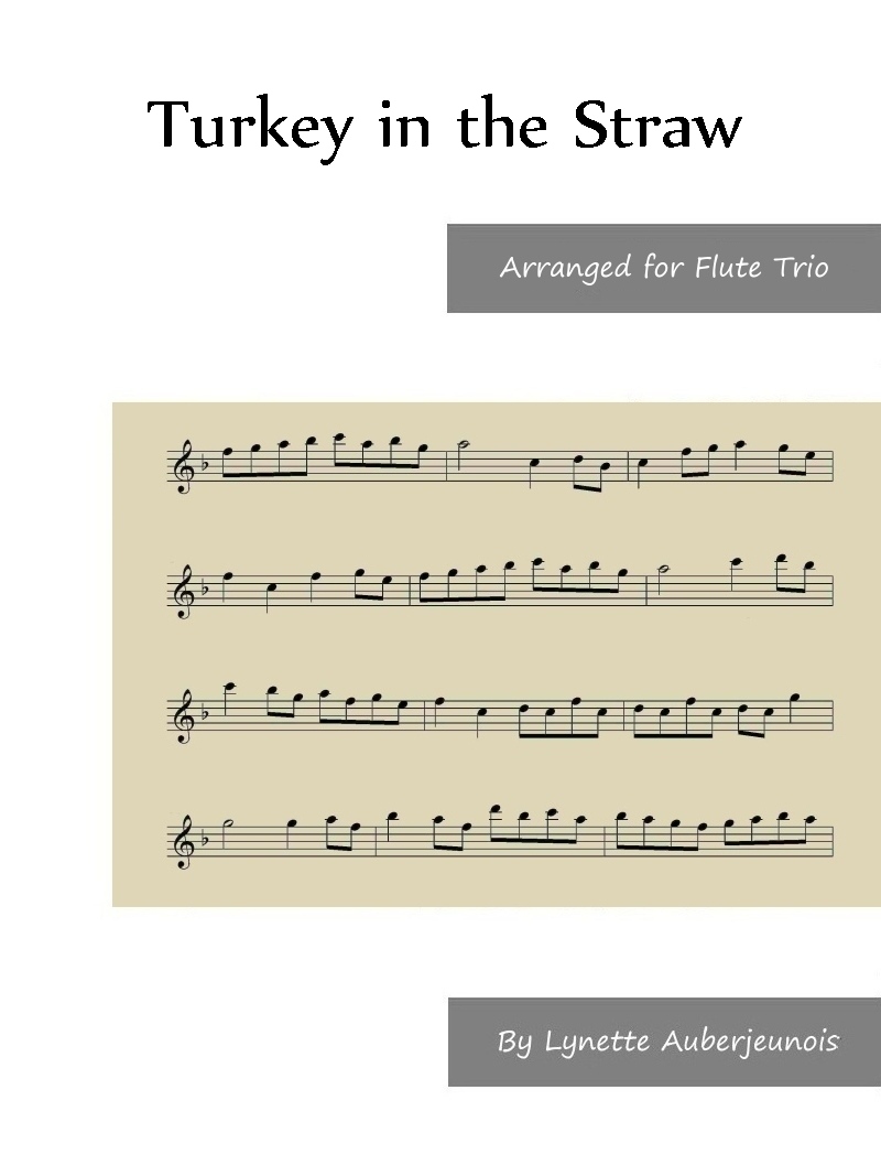 Sheet music cover for Turkey in the Straw flute trio