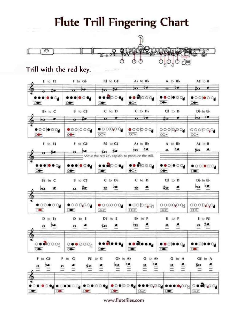 Flute Trill Fingering Chart Flute Files Publishing